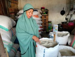 Luar Biasa…! Menjelang Bulan Puasa Harga Beras Premium Dipasar Mangkoso- Barru Turun