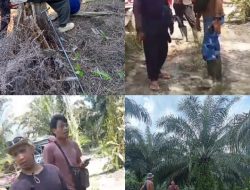 “KONFLIK LAHAN PERKEBUNAN KELAPA SAWIT DI NUNUKAN: Petani dan Perusahaan Bersengketa”