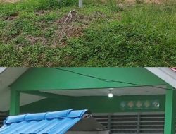 Petugas Medis Perusahaan Melenyu 2 di Muara Wahau Diduga Lecehkan Karyawan, Manajemen Diminta Bertindak