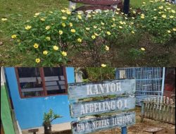 Karyawan Mengaku Dipaksa Mutasi, PPWI Pertanyakan Keputusan Askep di KM 6